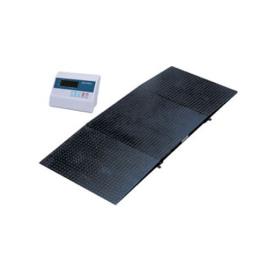 Low Profile Floor Scale