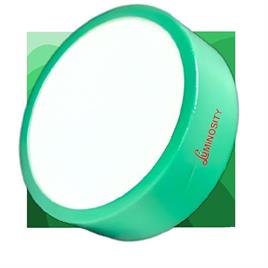 LUMINOSITY Surface LED Down Light