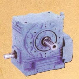 Mahashakti Food Processing Gear Box