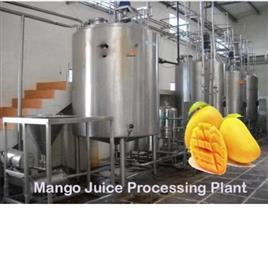 Mango Pulp Making Machine