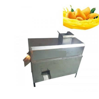 Mango Pulp Extraction Machine