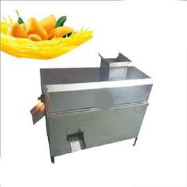 Mango Pulp Machine Jumbo