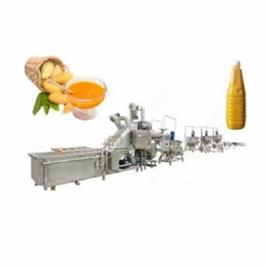 Mango Puree Production Line
