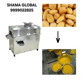 Automated Mango Pulper