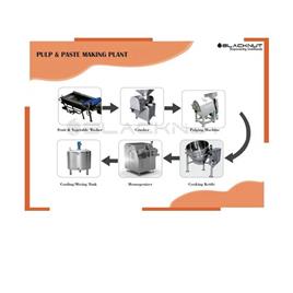 Automatic Mango & Tomato Pulping Plant