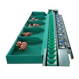 Mango Weight Grader Machine