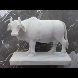 Marble Kamdhenu Cow Statue