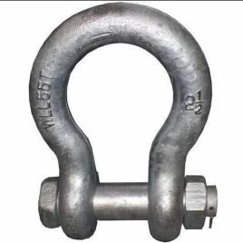 Alloy Steel D/Bow Shackle