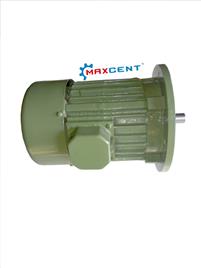 Flange Motors