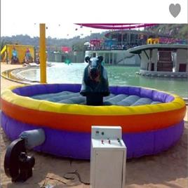 Mechanical Bull Ride Machine