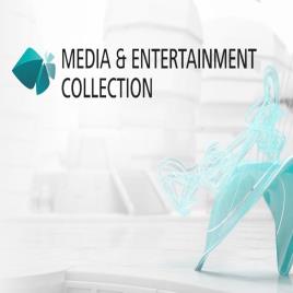 Media Entertainment AutoDesk 3ds Max (1 Month)