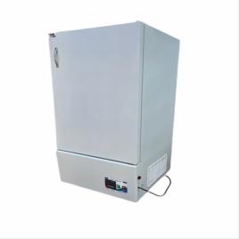 Medium Vertical -20C Medical Freezer
