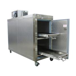 Two Body Metallic Silver Freezer Chamber