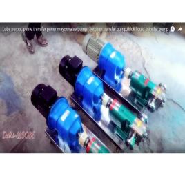 Standard Rotary Lobe Transfer Pump, RLP