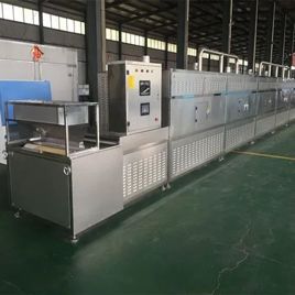 Mild Steel Auto Microwave Dryer