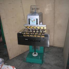 Mild Steel Automatic Imprinting Machine