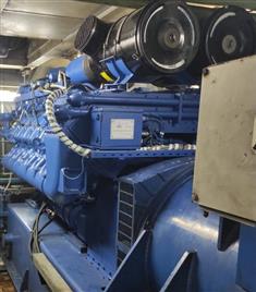 Mild Steel Biogas Engine Generator