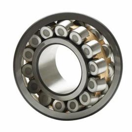 Galvanized Double Roller Bearing