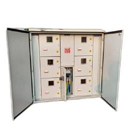 Mild Steel Feeder Pillar Equipment