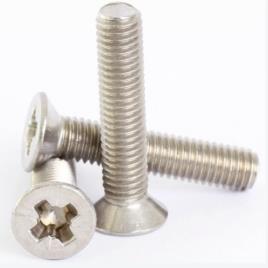 Mild Steel Polished Drywall Screw
