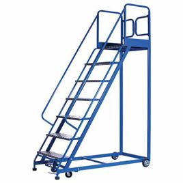 Stainless Steel Ladder Trolley