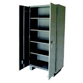 Mild Steel Office Almirah, 2 Doors