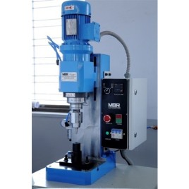 Mild Steel Riveting Machine