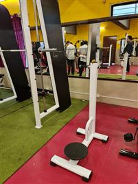 Mild Steel Standing Twister Machine