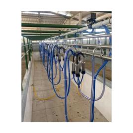 Herringbone Milking Machine