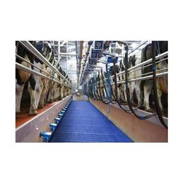 Milking Parlour