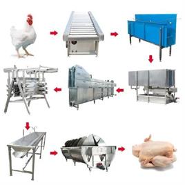 MINI CHICKEN PROCESSING EQUIPMENT