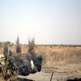 Mining Services Provided