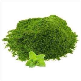 Seasoning Mint Powder