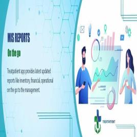 MIS Reporting Services (India)