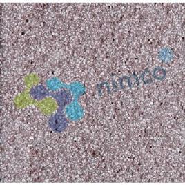 Elegant Red Paving Block