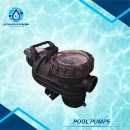 MIZU MS Swimming Pool Circulating Pump