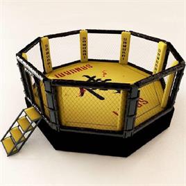 MMA Cage Ring with Padding