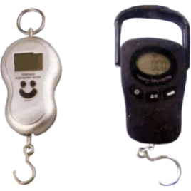 Mobail Hanging Scale