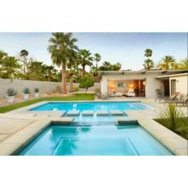 Contemporary Outdoor Plunge Pool