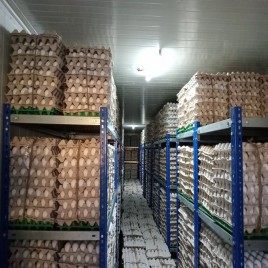 Modular Cold Room Storage