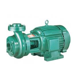 Cast Iron Monoblock Pump Set