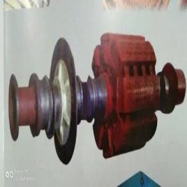 Motor Rewind Service