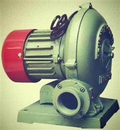 Industrial Air Blower