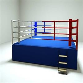 Portable Boxing Ring