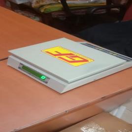 Body Weighing Scale