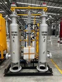 MS Polished Regenerative Desiccant Dryer