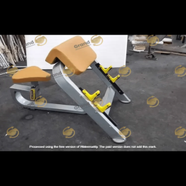 MS Preacher Curl Fitness Bench