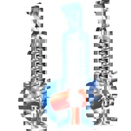 MS Industrial Safety Valves