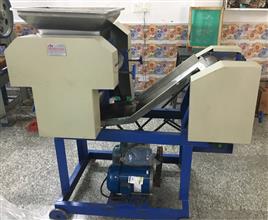 Multi-Stage Automatic Noodle Machine