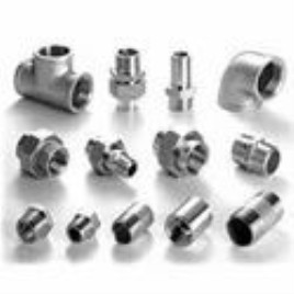 MS SS Type Check Valve